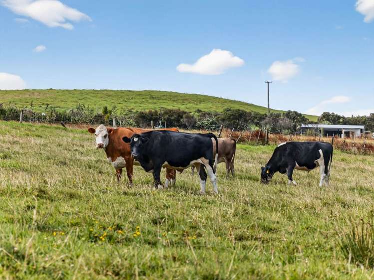 45 Brown Road Kaiwaka_34