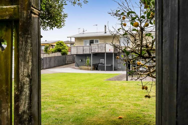 34b Camellia Avenue Bell Block_20