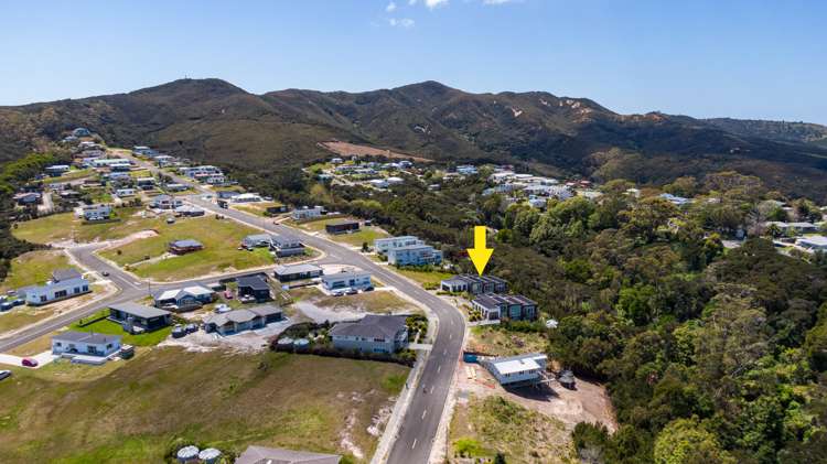 25 Banyan Road Karikari Peninsula_30