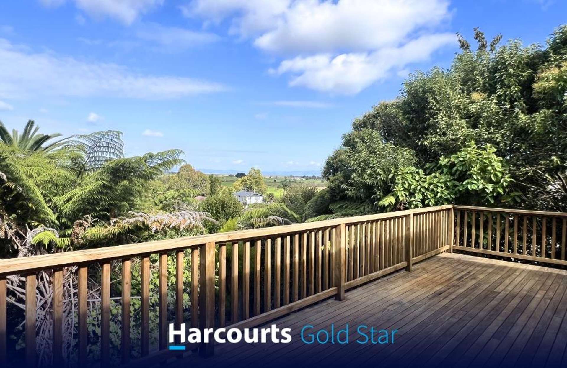 111 Marie Place Thames_0