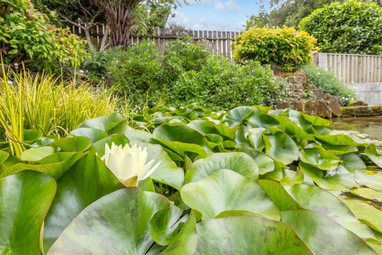 20 Hollinger Place Nawton_20