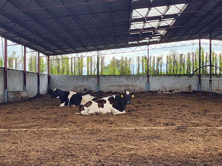 119 The Crescent Road Kaitangata_19