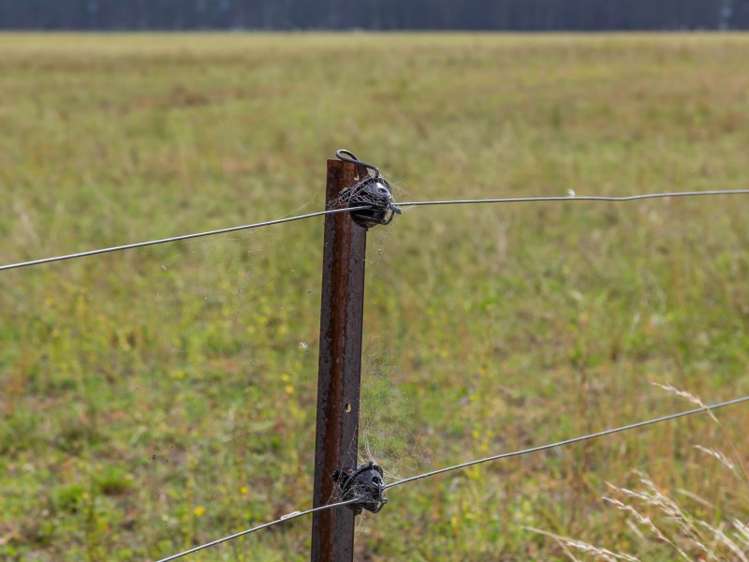 554 Old West Coast Road West Melton_19