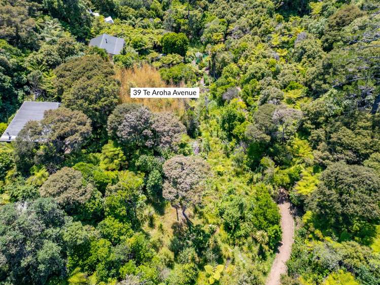 39 Te Aroha Avenue Oneroa_7