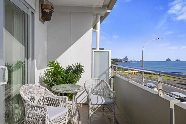 3/4 Buller Street New Plymouth_2