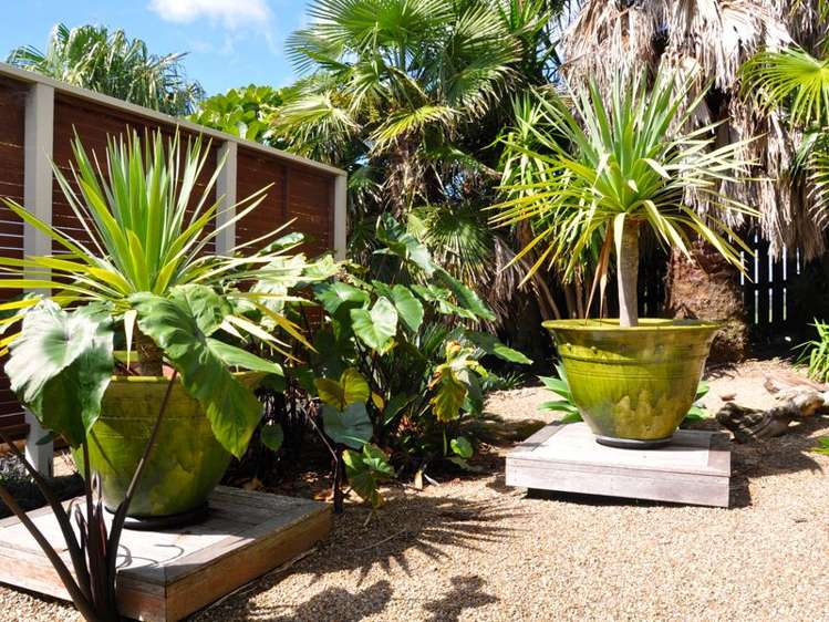 56 The Crescent Waihi Beach_20