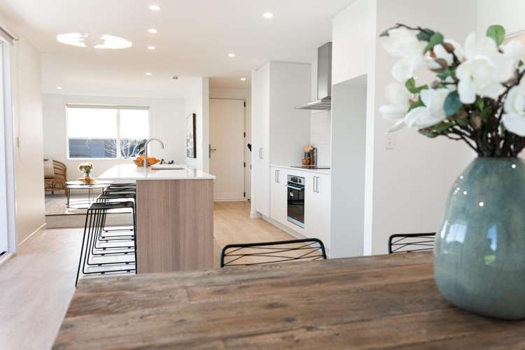 8 Tokotoko Parade Matamata_10