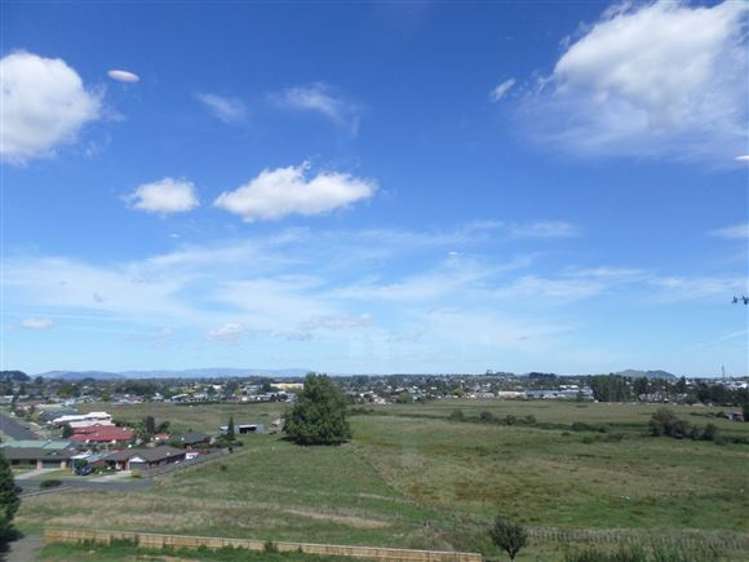 858 Bond Road Te Awamutu_24