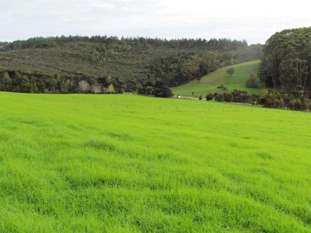 Cove Road - Far Paddock