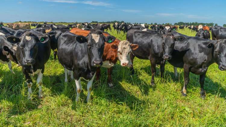 1051 Carleton Road Oxford_10