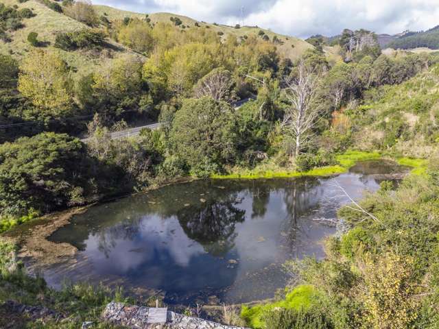22 Nikau Palm Road Paraparaumu_1