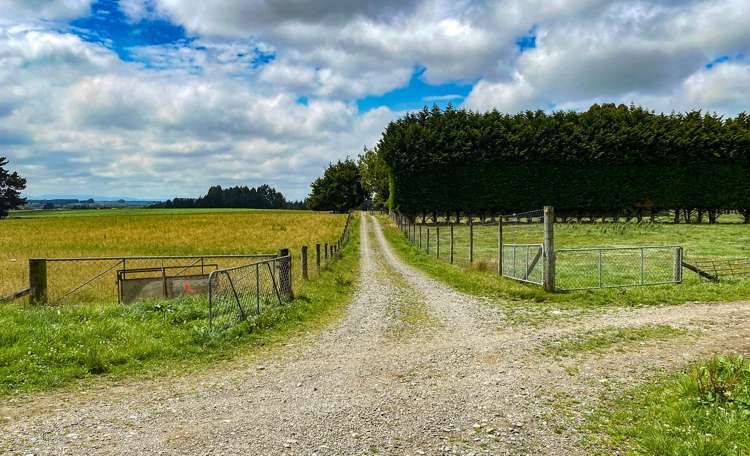 111 Slaughterhouse Road Otautau_2