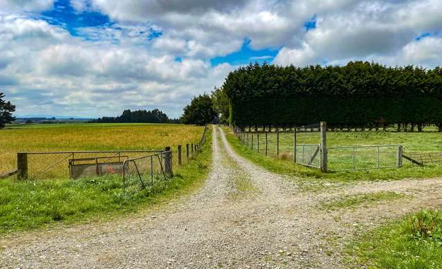 111 Slaughterhouse Road Otautau_2