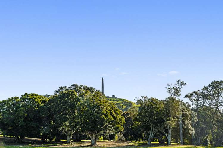 100 Campbell Road One Tree Hill_15