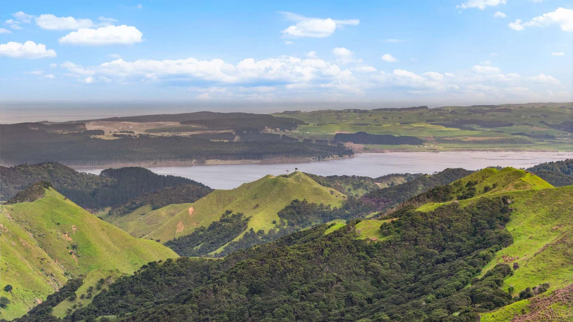 1335 Klondyke Road Port Waikato_0