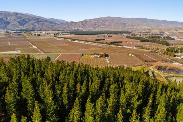 Lot 1 & 5 Ripponvale Road Cromwell_4