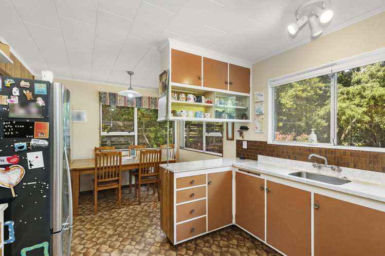 8 Radiata Grove Brown Owl_2