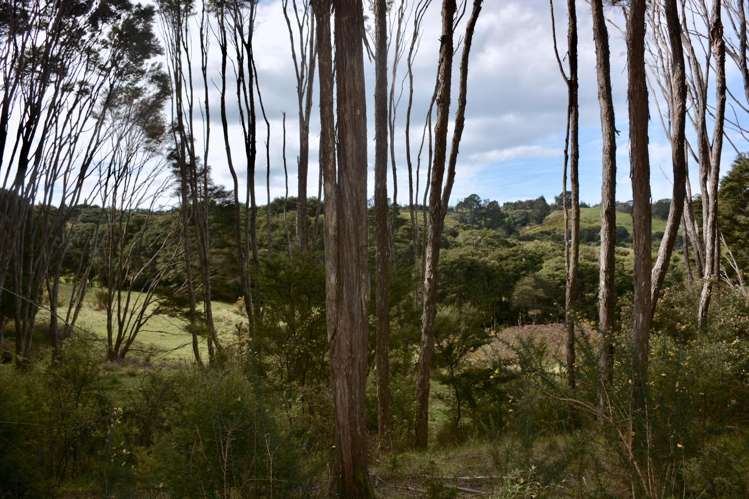 Lot 6, 131b Paul Road Tairua_9