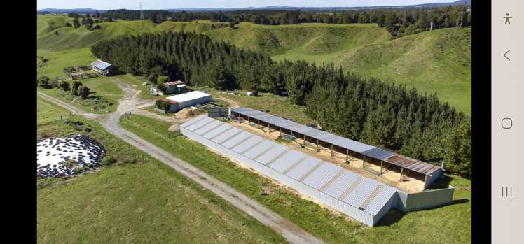 248 Lichenstein Road Okere Falls_17