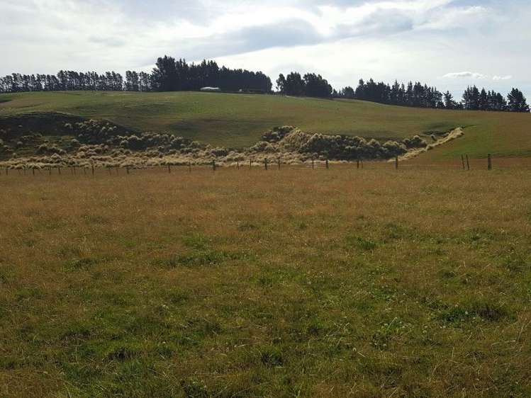 295 Wallaces Ford Road Hindon_18