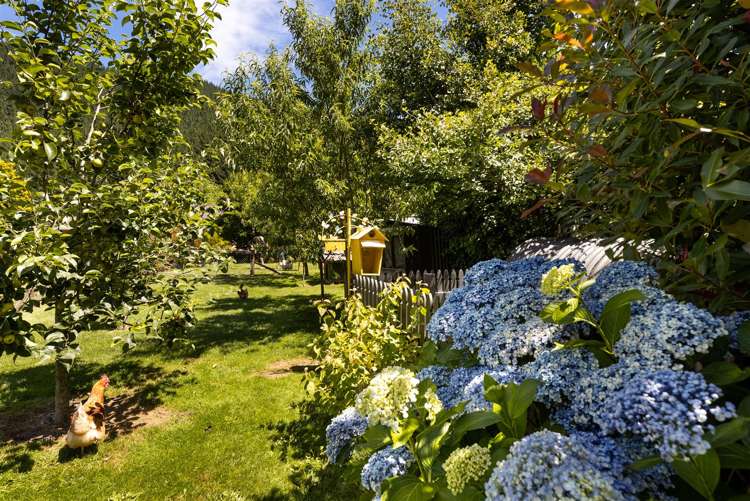 188 Mount Riley Road Havelock_30