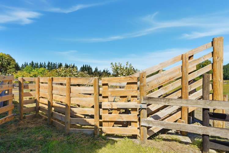 99 Lower Sefton Road Ashley_25