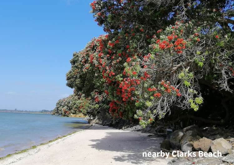 75 Clarks Beach Road Clarks Beach_50