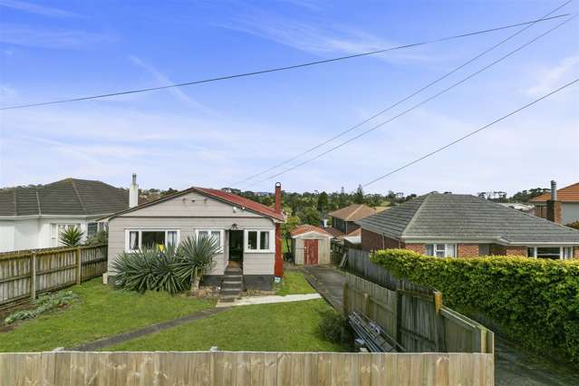 17 Staveley Avenue Mount Roskill_3