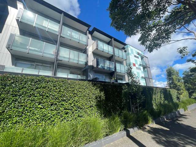 2j/80 Richmond Road Grey Lynn_2