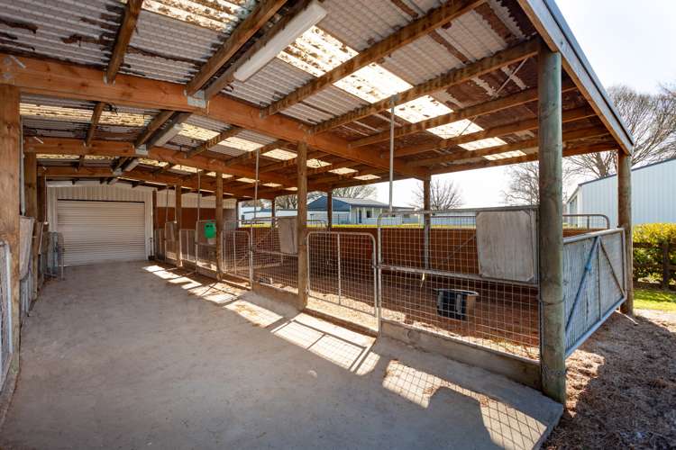 78 Tower Road Matamata_9