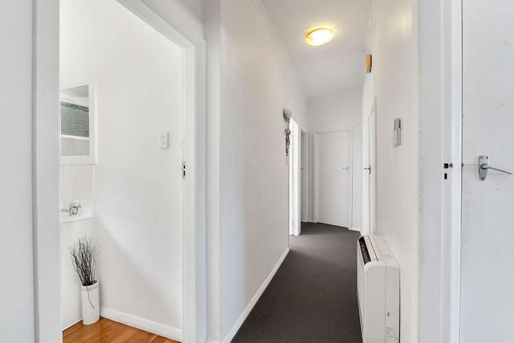 66 Darlington Road Miramar_8