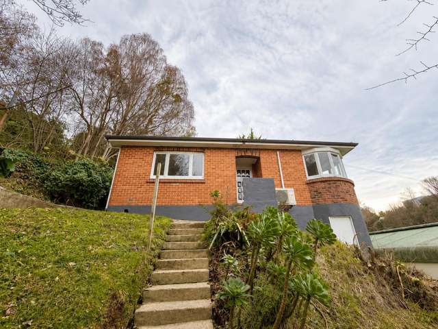 Tidy Central Dunedin home