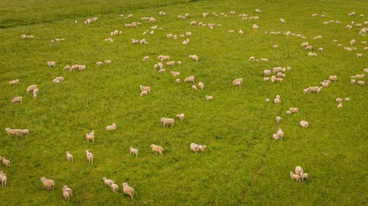 Address withheld Middlemarch_26