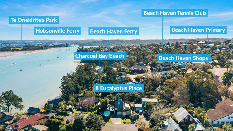 8 Eucalyptus Place Beach Haven_20