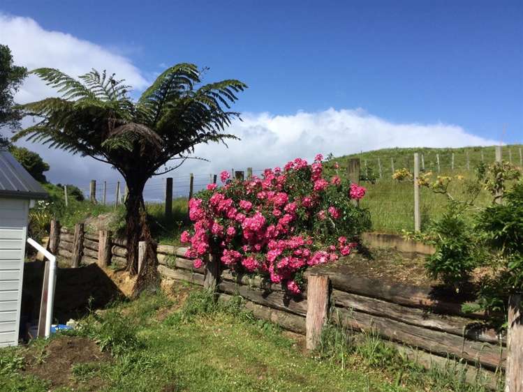 62 Oparure Road Te Kuiti_37