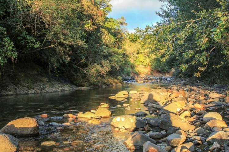 683 Maratoto Road Hikutaia_10