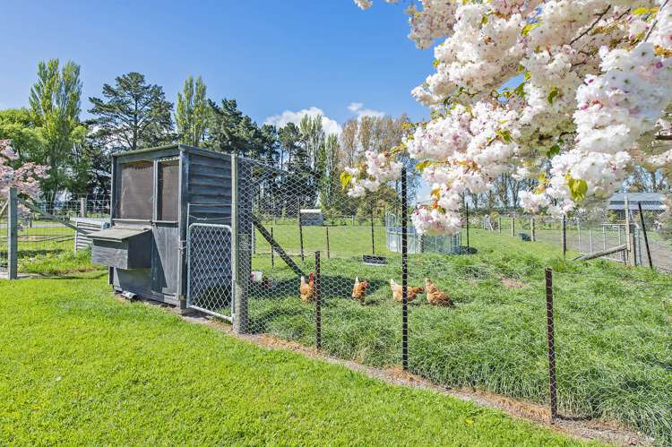 111 Chamberlains Road Springston_23