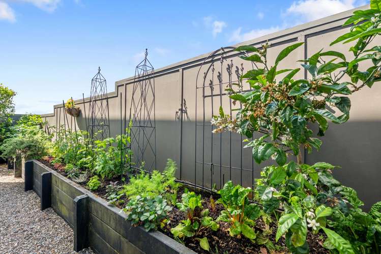 47 Princes Street Northcote Point_15