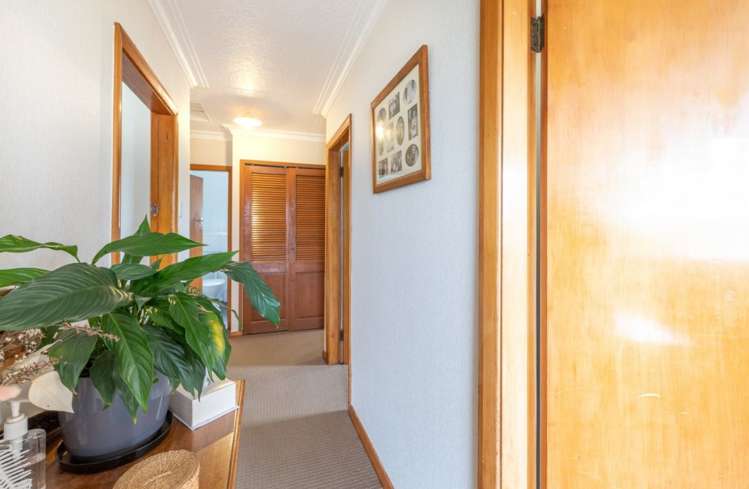 23 Duckworth Street Andersons Bay_7