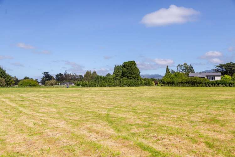 228B Wood Street Greytown_12