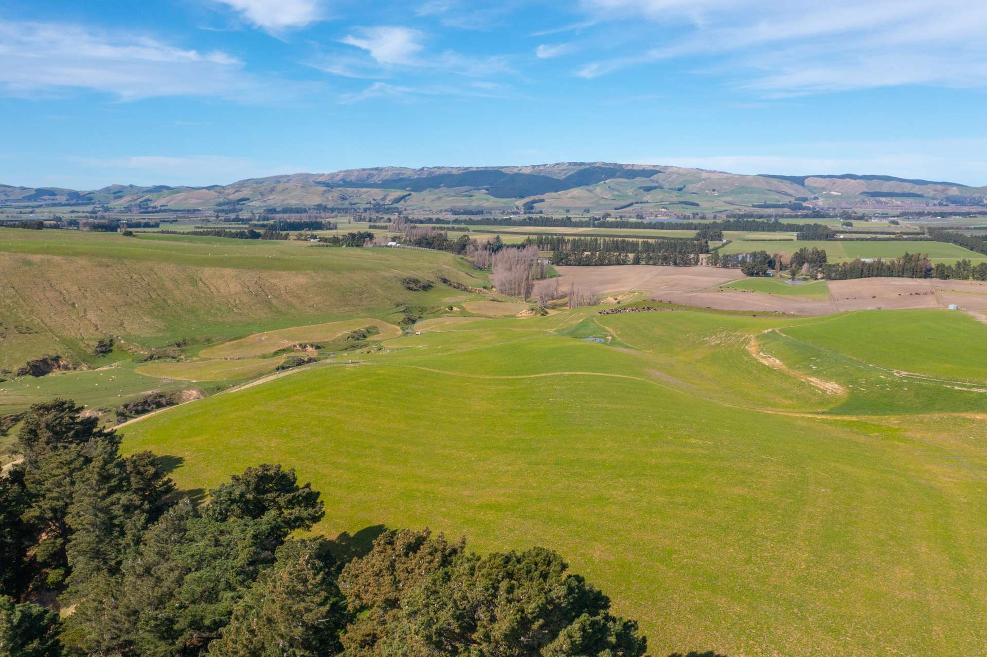 277 Mackenzies Road Waipara_0