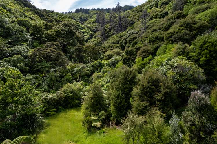 24 Amelia Crescent Waikawa_5