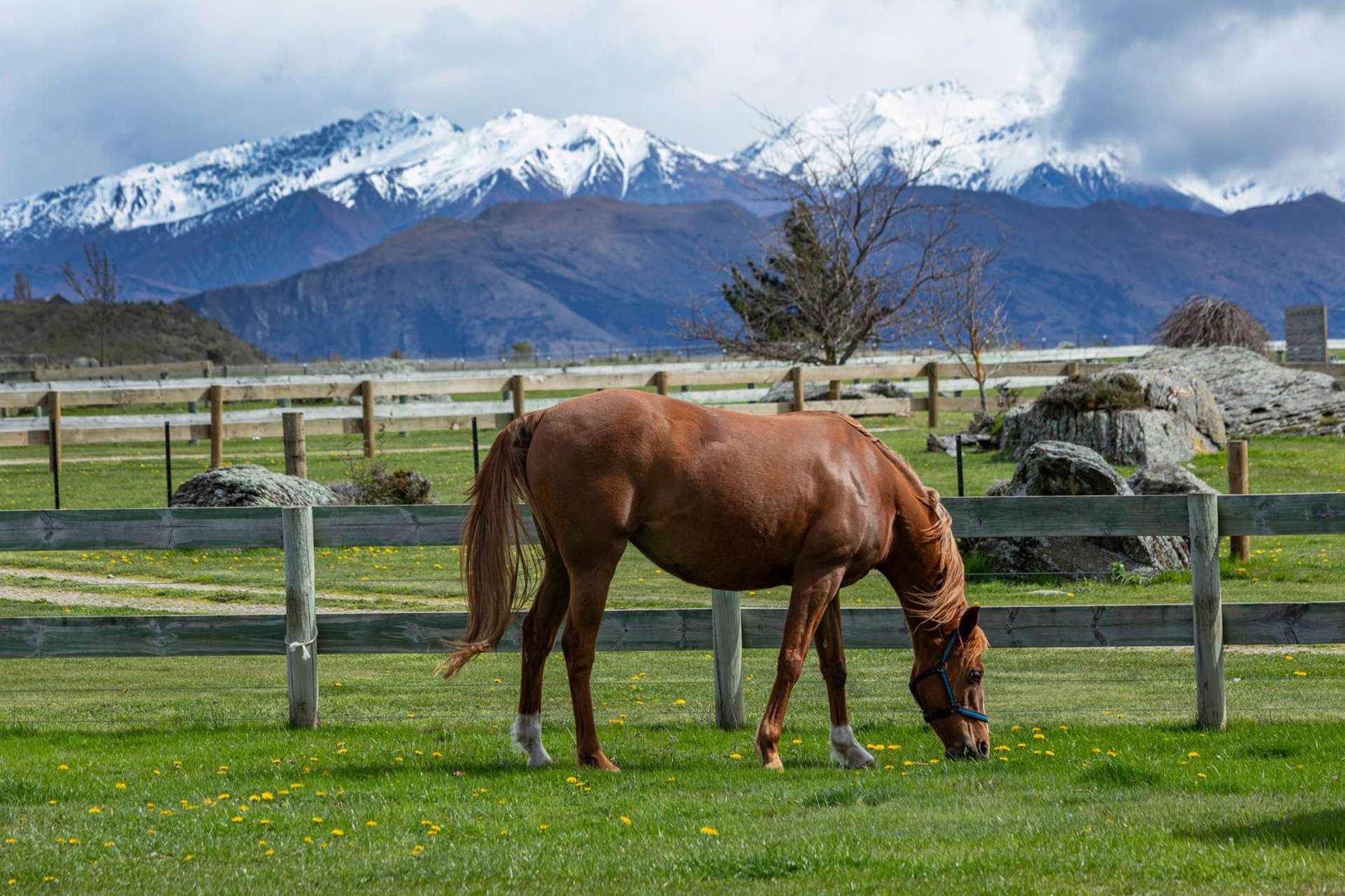 182 Stevenson Road Wanaka_0