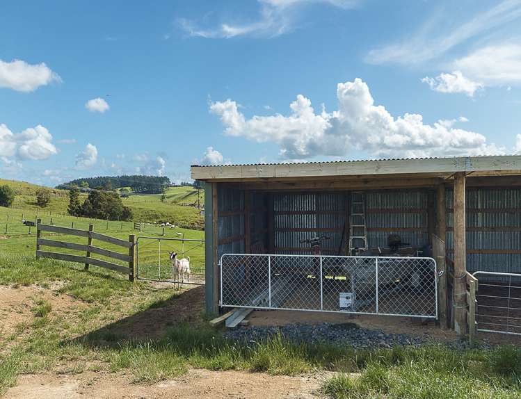 491 Morrison Road Pukekawa_11