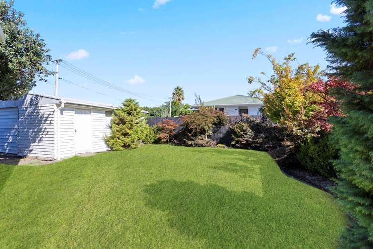 23 Mead Street Avondale_12