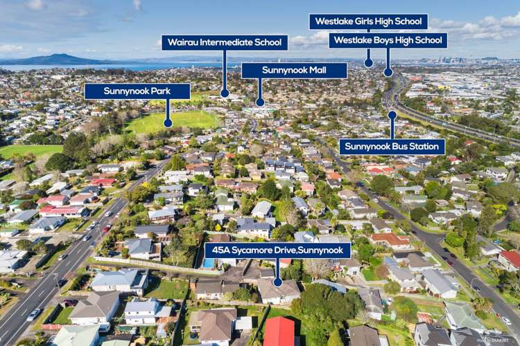 45a Sycamore Drive Sunnynook_19