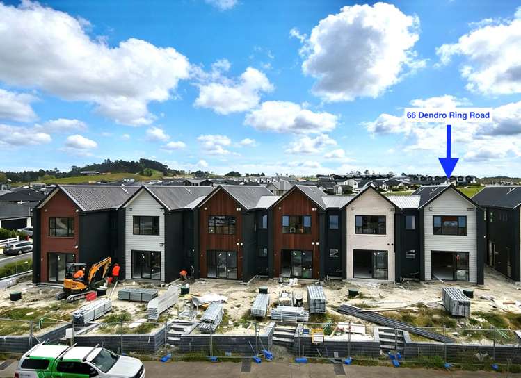 66 Dendro Ring Road_0