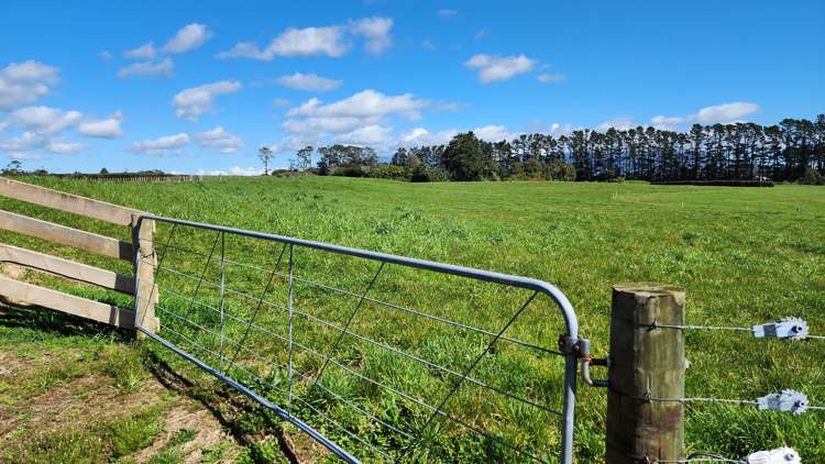 868 Upland Road Egmont Village_20