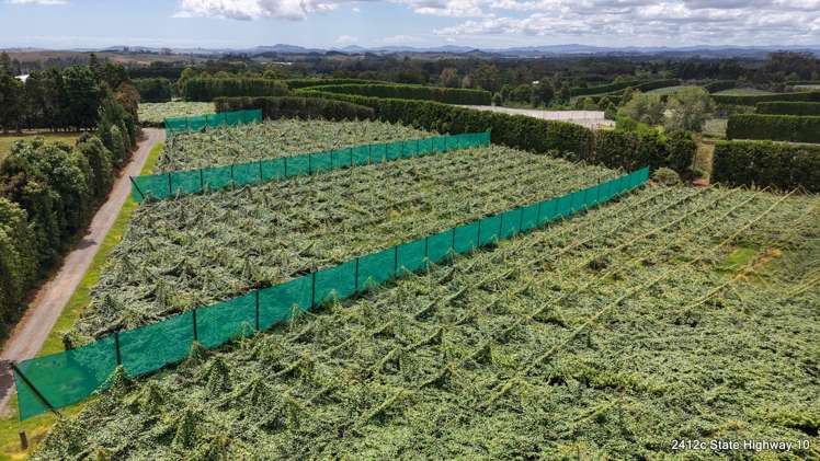 1414b State Highway 10 Kerikeri_18