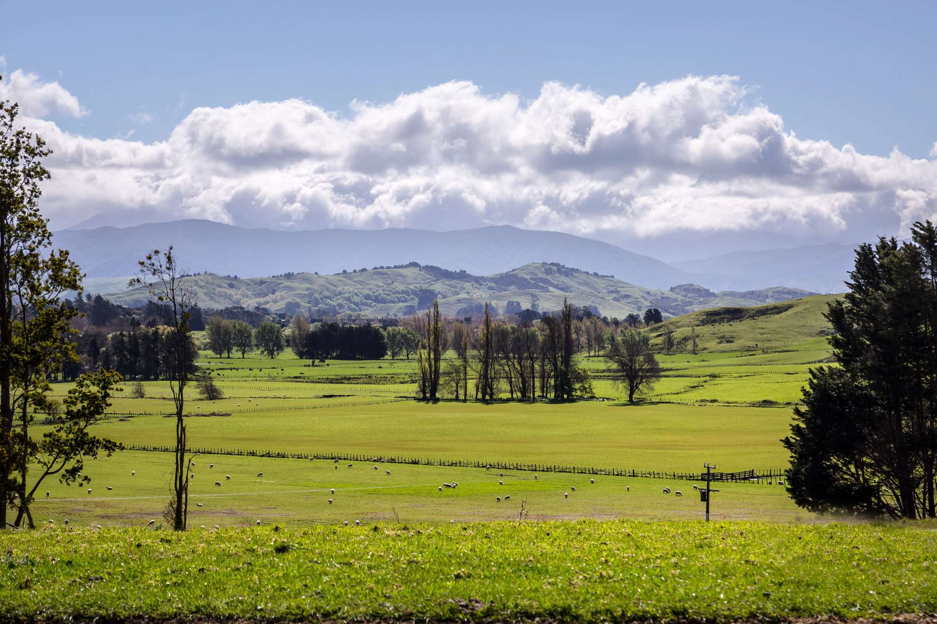 16 Kaka Amu Road Masterton_0